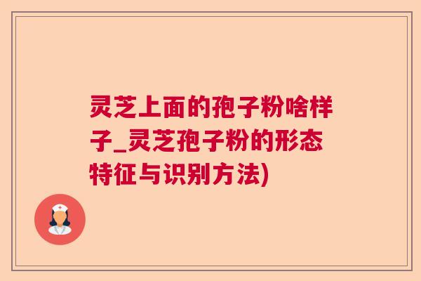灵芝上面的孢子粉啥样子_灵芝孢子粉的形态特征与识别方法)