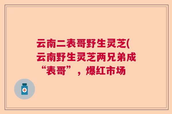 云南二表哥野生灵芝(云南野生灵芝两兄弟成“表哥”，爆红市场