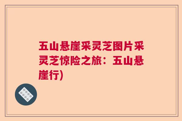 五山悬崖采灵芝图片采灵芝惊险之旅：五山悬崖行)