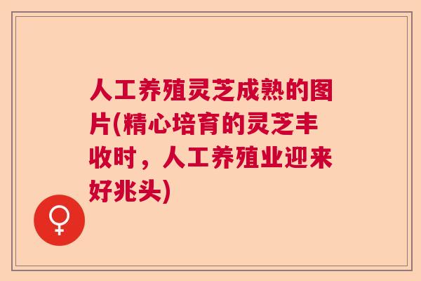 人工养殖灵芝成熟的图片(精心培育的灵芝丰收时，人工养殖业迎来好兆头)