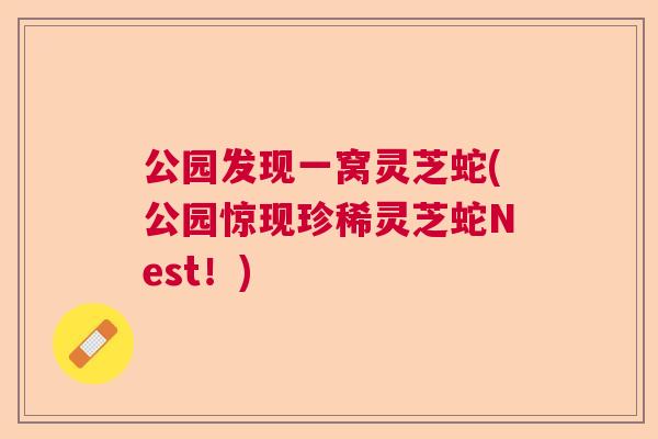 公园发现一窝灵芝蛇(公园惊现珍稀灵芝蛇Nest！)