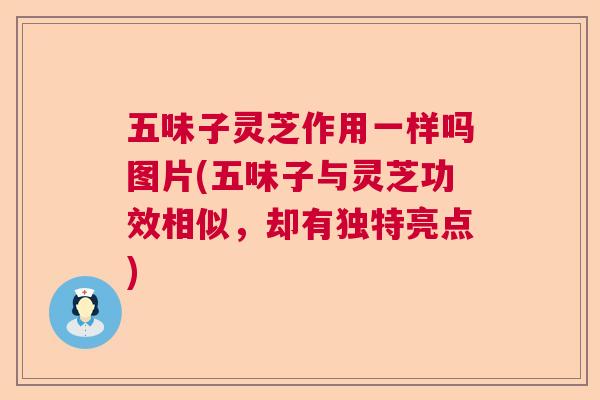 五味子灵芝作用一样吗图片(五味子与灵芝功效相似，却有独特亮点)