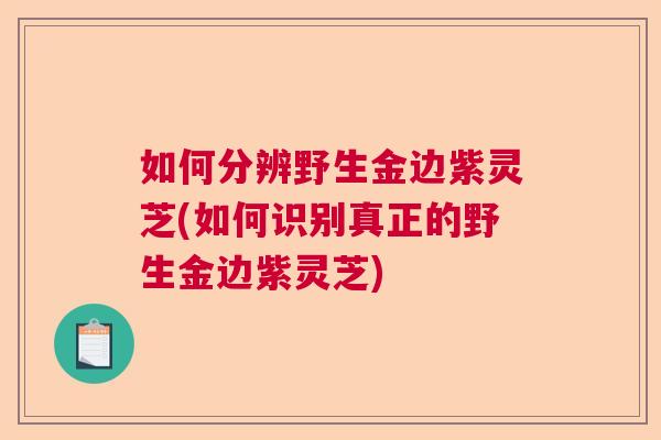 如何分辨野生金边紫灵芝(如何识别真正的野生金边紫灵芝)