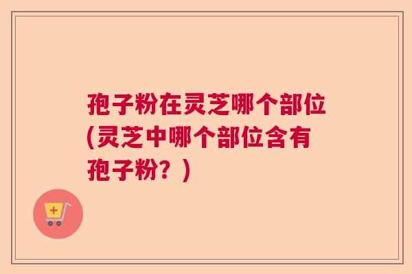 孢子粉在灵芝哪个部位(灵芝中哪个部位含有孢子粉？)