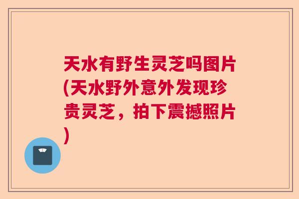 天水有野生灵芝吗图片(天水野外意外发现珍贵灵芝，拍下震撼照片)