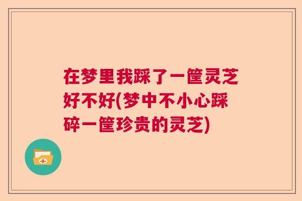 在梦里我踩了一筐灵芝好不好(梦中不小心踩碎一筐珍贵的灵芝)