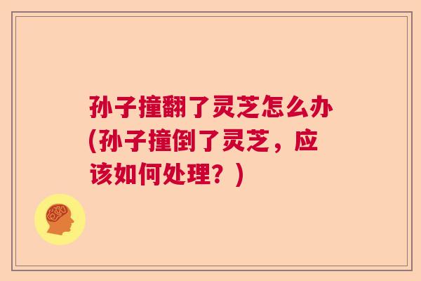 孙子撞翻了灵芝怎么办(孙子撞倒了灵芝，应该如何处理？)