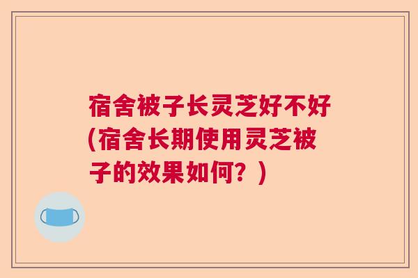 宿舍被子长灵芝好不好(宿舍长期使用灵芝被子的效果如何？)