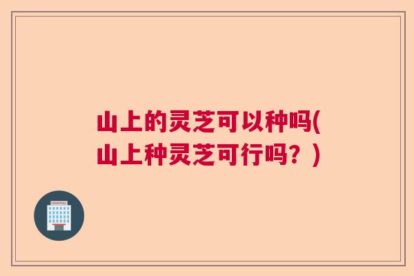 山上的灵芝可以种吗(山上种灵芝可行吗？)