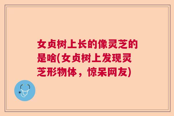 女贞树上长的像灵芝的是啥(女贞树上发现灵芝形物体，惊呆网友)