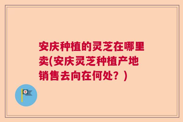 安庆种植的灵芝在哪里卖(安庆灵芝种植产地销售去向在何处？)