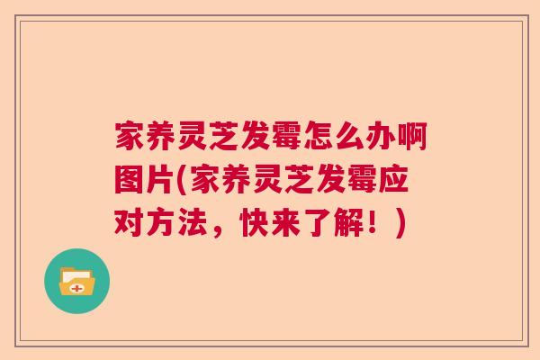 家养灵芝发霉怎么办啊图片(家养灵芝发霉应对方法，快来了解！)