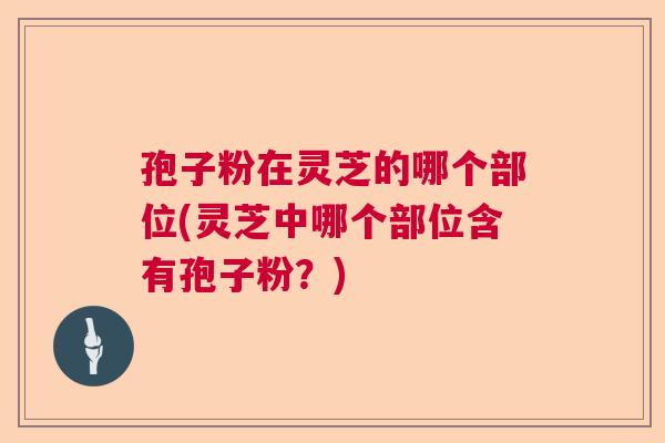 孢子粉在灵芝的哪个部位(灵芝中哪个部位含有孢子粉？)