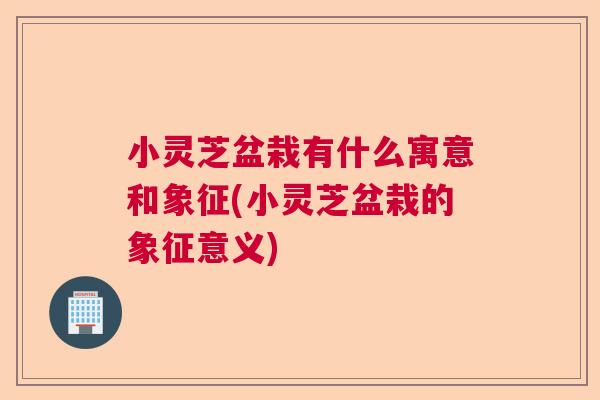 小灵芝盆栽有什么寓意和象征(小灵芝盆栽的象征意义)