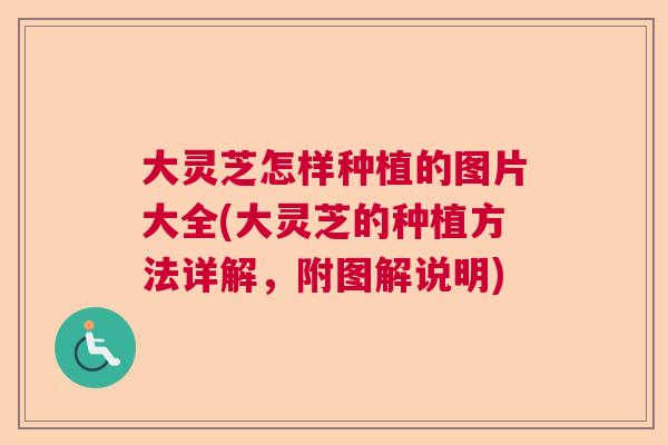 大灵芝怎样种植的图片大全(大灵芝的种植方法详解，附图解说明)