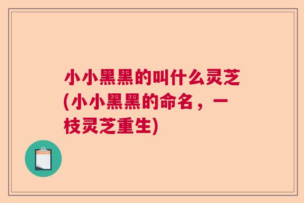 小小黑黑的叫什么灵芝(小小黑黑的命名，一枝灵芝重生)