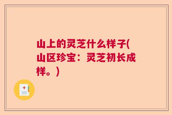 山上的灵芝什么样子(山区珍宝：灵芝初长成样。)