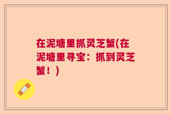 在泥塘里抓灵芝蟹(在泥塘里寻宝：抓到灵芝蟹！)