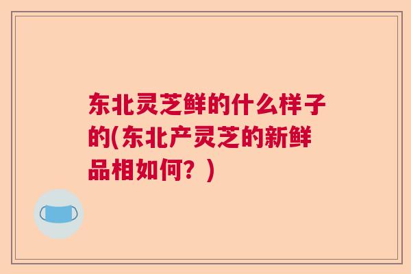 东北灵芝鲜的什么样子的(东北产灵芝的新鲜品相如何？)