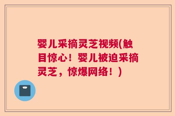 婴儿采摘灵芝视频(触目惊心！婴儿被迫采摘灵芝，惊爆网络！)