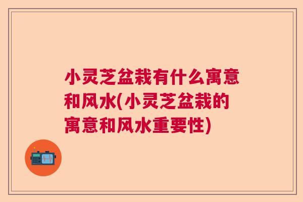 小灵芝盆栽有什么寓意和风水(小灵芝盆栽的寓意和风水重要性)