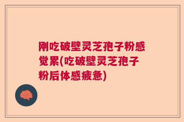 刚吃破壁灵芝孢子粉感觉累(吃破壁灵芝孢子粉后体感疲惫)
