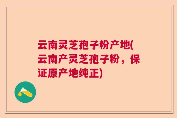 云南灵芝孢子粉产地(云南产灵芝孢子粉，保证原产地纯正)