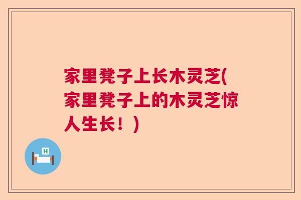 家里凳子上长木灵芝(家里凳子上的木灵芝惊人生长！)