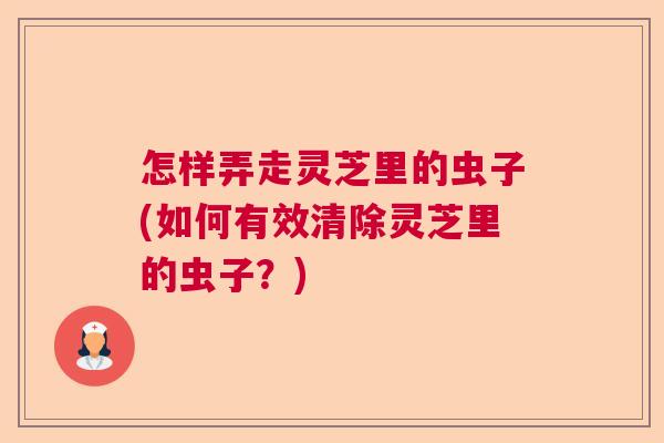 怎样弄走灵芝里的虫子(如何有效清除灵芝里的虫子？)