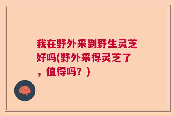 我在野外采到野生灵芝好吗(野外采得灵芝了，值得吗？)