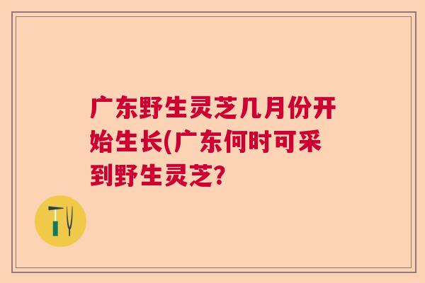广东野生灵芝几月份开始生长(广东何时可采到野生灵芝？