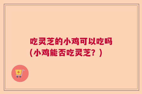 吃灵芝的小鸡可以吃吗(小鸡能否吃灵芝？)