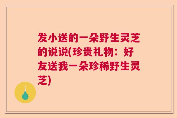 发小送的一朵野生灵芝的说说(珍贵礼物：好友送我一朵珍稀野生灵芝)