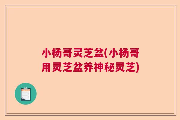 小杨哥灵芝盆(小杨哥用灵芝盆养神秘灵芝)