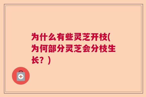 为什么有些灵芝开枝(为何部分灵芝会分枝生长？)
