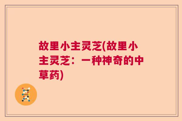 故里小主灵芝(故里小主灵芝：一种神奇的中草药)