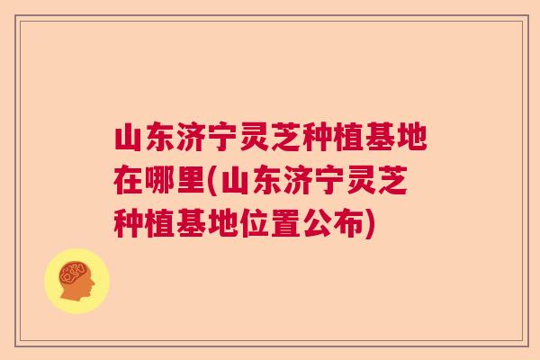 山东济宁灵芝种植基地在哪里(山东济宁灵芝种植基地位置公布)