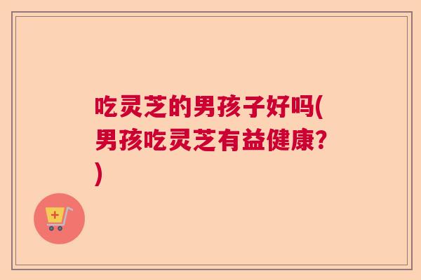 吃灵芝的男孩子好吗(男孩吃灵芝有益健康？)