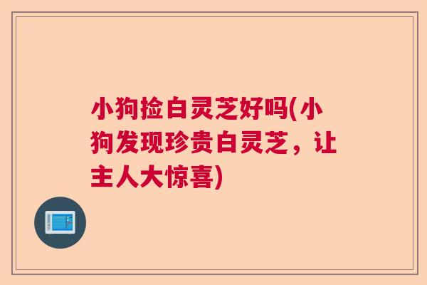小狗捡白灵芝好吗(小狗发现珍贵白灵芝，让主人大惊喜)