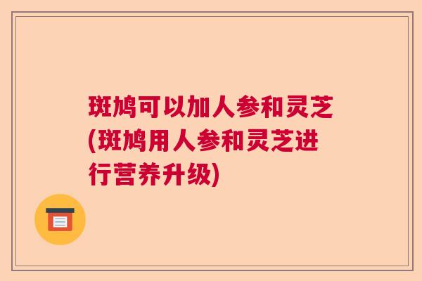 斑鸠可以加人参和灵芝(斑鸠用人参和灵芝进行营养升级)