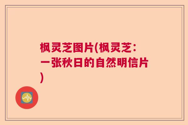 枫灵芝图片(枫灵芝：一张秋日的自然明信片)