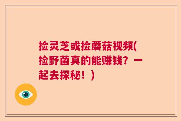 捡灵芝或捡蘑菇视频(捡野菌真的能赚钱？一起去探秘！)