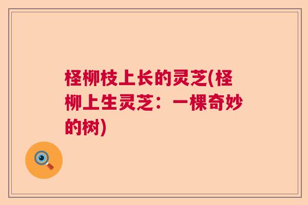 柽柳枝上长的灵芝(柽柳上生灵芝：一棵奇妙的树)