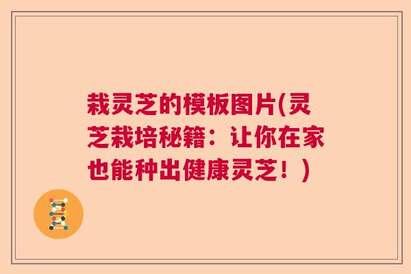 栽灵芝的模板图片(灵芝栽培秘籍：让你在家也能种出健康灵芝！)