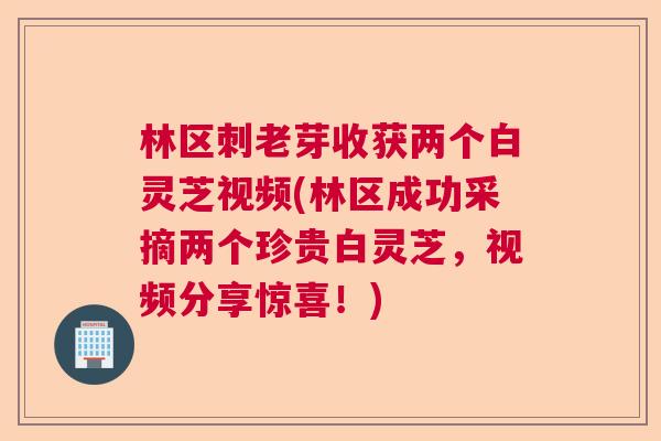 林区刺老芽收获两个白灵芝视频(林区成功采摘两个珍贵白灵芝，视频分享惊喜！)