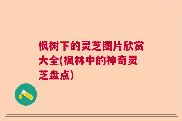 枫树下的灵芝图片欣赏大全(枫林中的神奇灵芝盘点)