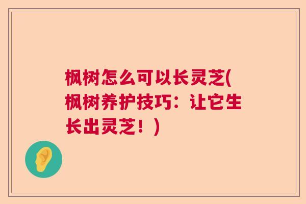 枫树怎么可以长灵芝(枫树养护技巧：让它生长出灵芝！)