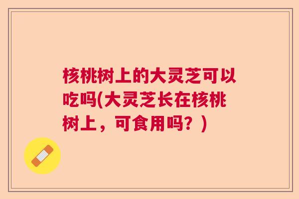 核桃树上的大灵芝可以吃吗(大灵芝长在核桃树上，可食用吗？)