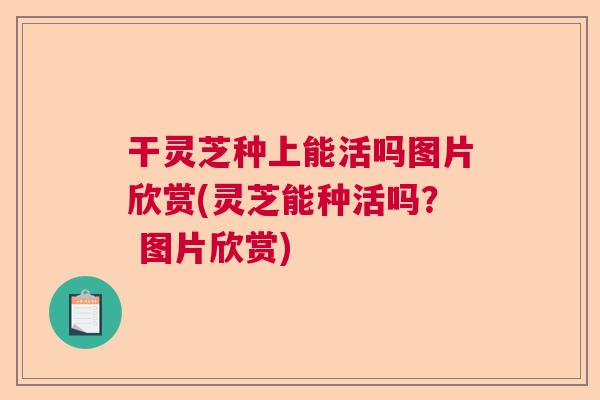 干灵芝种上能活吗图片欣赏(灵芝能种活吗？ 图片欣赏)