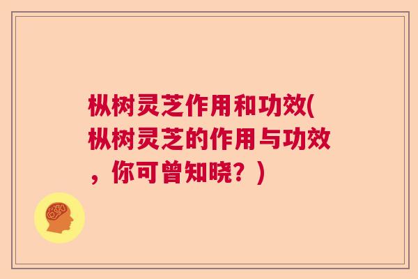 枞树灵芝作用和功效(枞树灵芝的作用与功效，你可曾知晓？)